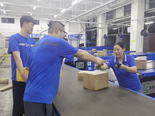 如何快速安全地跨城市送物品 跨城速递服务详解