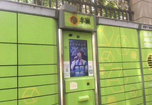 顺丰电商物流如何保障高效配送与用户体验 顺丰电商物流如何保障高效配送与用户体验