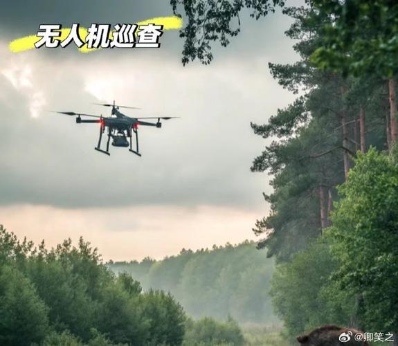 上海十大货代公司排名